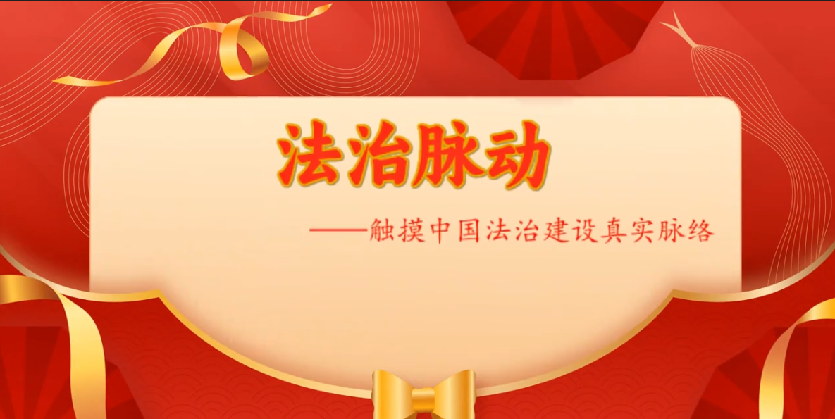法治脉动-触摸中国法治建设真实脉络